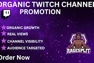 do twitch channel promotion for live viewers and chatters