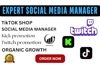 be your twitch, kick and social media manager for your channel growth