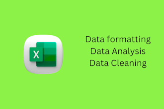 do excel data cleaning , data formatting and data analysis