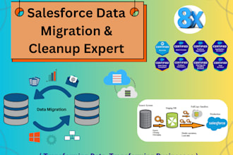 be your salesforce data migration and cleanup specialist