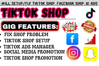 setup and fix tiktok shop facebook shop tiktok ads ig  snapchat ads