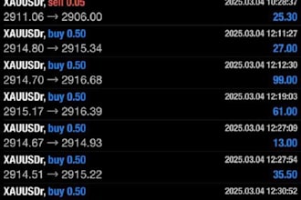 manage your mt4,mt5 account, account management profitable
