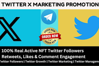 crypto x marketing for memecoin promotion, twitter followers growth, management