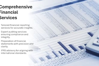 provide auditing and accounting services