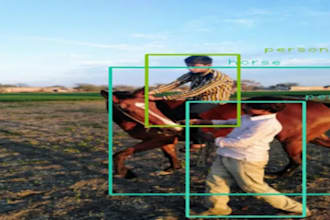 provide object detection, recognition, and tracking services