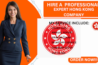 professional company registration in hong kong, singapore, bvi, seychelles