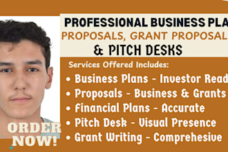 write a topnotch business plan, proposal, pitch desk, financial analysis, resume