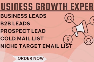 niche target email list, prospect leads b2b leads cold mail list linkedin leads