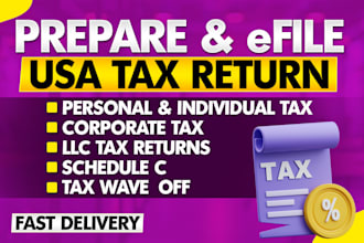 prepare an efile, USA tax returns for individual, corporation and llc