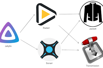 configure and setup  radarr sonarr jellyfin plex emby server automated vod