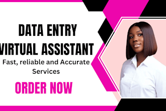 data entry web research data collection copy and paste, virtual assistant tasks