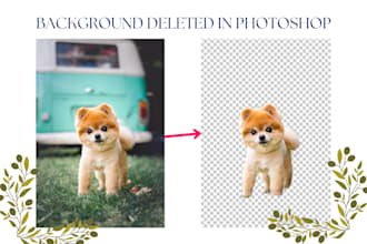 delete the background of your photos