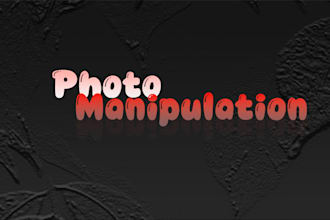 do professional photo manipulation