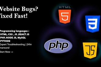 provide professional website debugging and repair service
