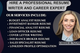 write financial budget analyst resume, investment banker, accountant, auditor cv