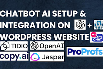 setup integrate chatgpt ai chatbot tidio drift bertha ai on wordpress website