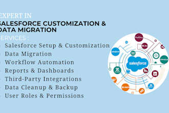 setup salesforce customization and data migration marketing automation saas