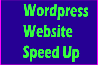 speed up wordpress website for google page speed insights in 20 hours