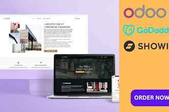 create odoo, duda, show it, durable ai, 10web, godaddy website and landing page