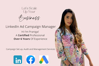 set up linkedin ads and be your campaign manager