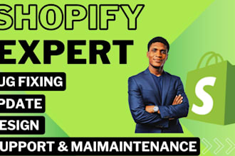 do shopify bug fix service, website monthly maintenance