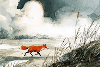 children story book illustration and children story book illustration