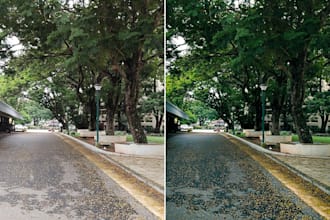 professionally color grade and edit your photos in photoshop