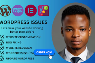 fix wordpress debug issue, errors, attacks edit theme, plugins, website help