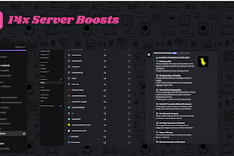 create a professional discord server with 14x boosts, bots, and custom embed