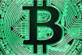 setup profitable real bitcoin , btc and usdt fast for you