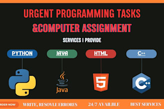 do python programming tasks and coding algorithms with gui