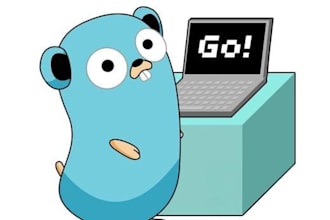 do golang web apps, rest apis and full projects