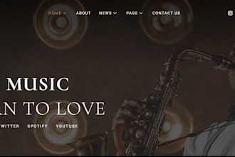 build music album shopify store video store tape store record website