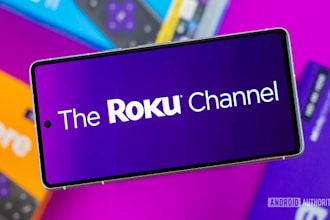 develop professional roku tv channel