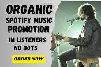 do spotify music promotion, USA spotify music promo for your track or album