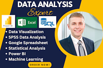 be your data analyst expert on microsoft power bi tableau excel specialist