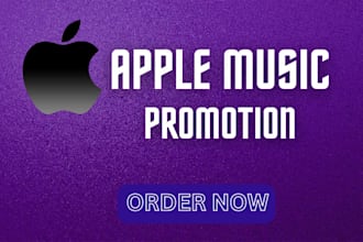do organic UK or USA apple music promotion, itunes music promotion