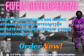work on your fivem server as a developer
