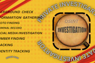 be your private investigator, osint, detective, background check, forensics