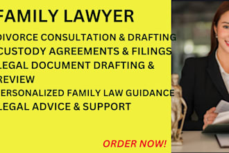 provide divorce and custody, consulting or documents as a family lawyer