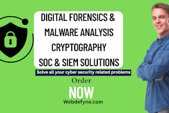 perform expert malware analysis,cryptography, digital forensics and soc services