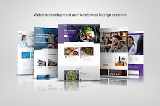 design, redesign, copy clone or develop wordpress website, ecommerce website