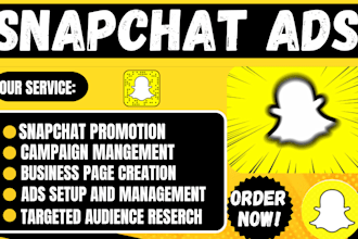 create snapchat ads campaign business page account manager conversion tracking