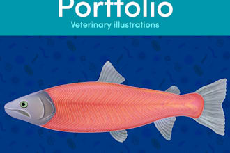 make professional veterinary medical illustrations