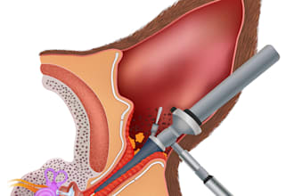 make professional veterinary medical illustrations