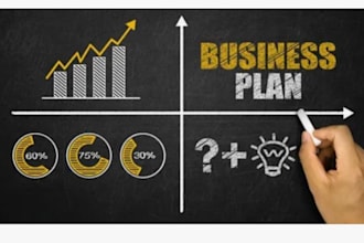 create a professional business proposal for your investor