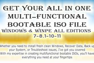 provide all in one bootable iso of multiple windows 781011 with office and winpe