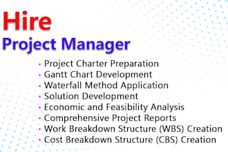 do project management tasks virtual project manager