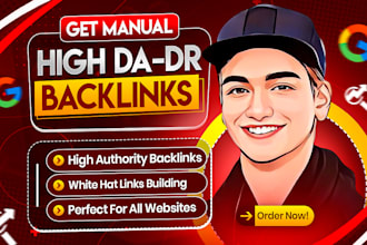provide high quality links building and contextual backlinks to boost a website