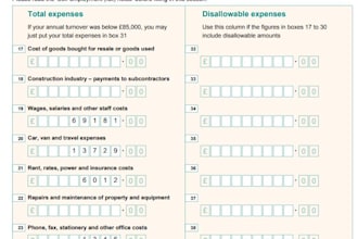 prepare and file uk self assessment tax return for you